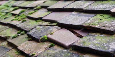Eccleston roof repair costs